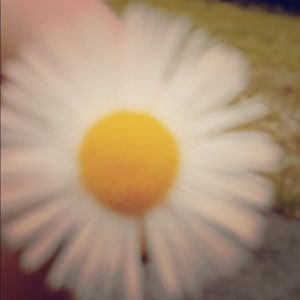 Meet your Posher, Chloe